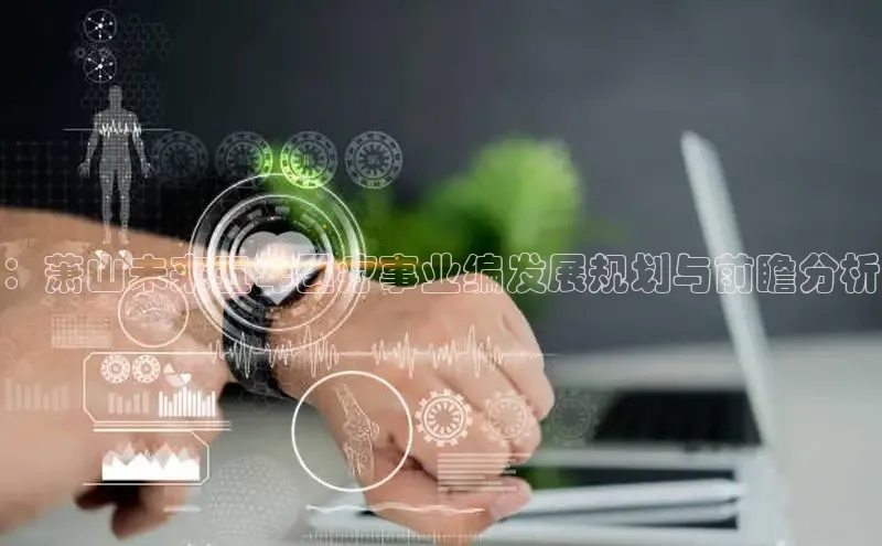 Vsport体育网页手机版