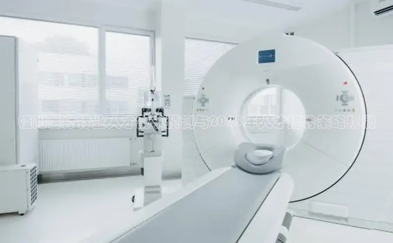 Vsport体育网页手机版